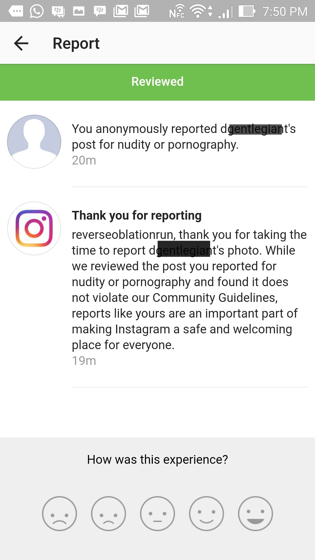 REPORT D IGNORED BY IG