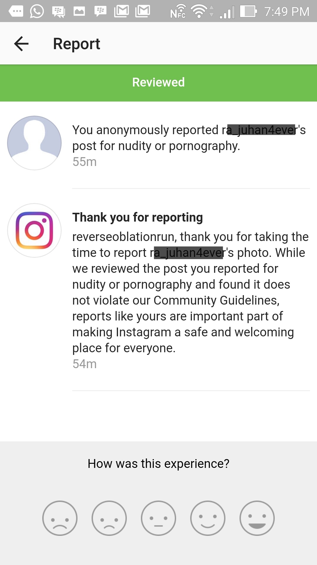 REPORT RA IGNORED BY IG